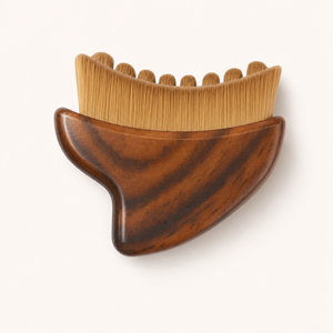 1 brosse lymphatique en bois naturel